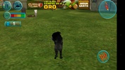 Angry Lion Attack 3D screenshot 2