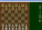 Pawn screenshot 3