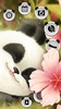 Cute Baby Panda Theme screenshot 5