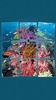 Under the Sea Jigsaw Puzzles screenshot 6