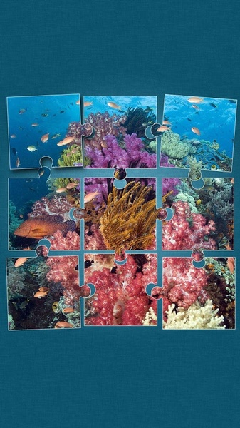 Under the Sea Jigsaw Puzzles - Preview 6