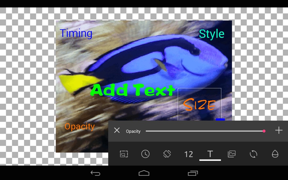 GIF Studio - Preview 3