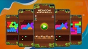 Hexagon Blocks Puzzle screenshot 4