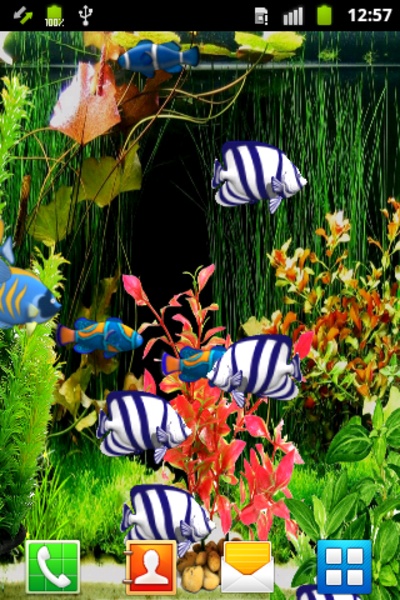 Blue Aquarium Wallpaper - Preview 2