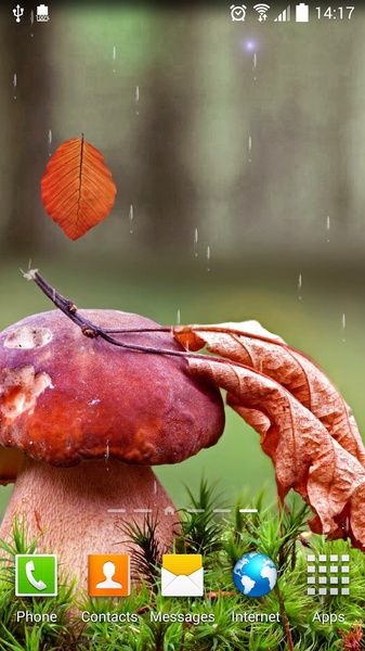 Autumn Live Wallpaper - Preview 9