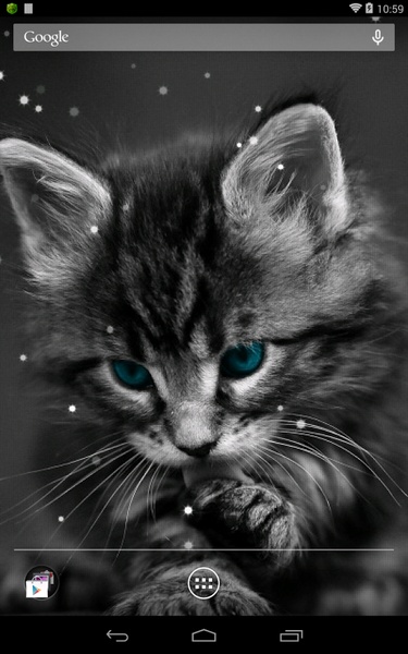 Q Cat - Preview 2