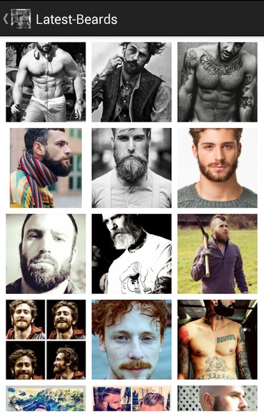 Men Beard Styles 2015 - Preview 4