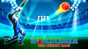 World Real IPL Cricket Games screenshot 4