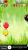 Smash Balloons screenshot 8