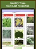 Forest Tree Identification screenshot 6