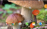 Mushrooms Live Wallpaper screenshot 3