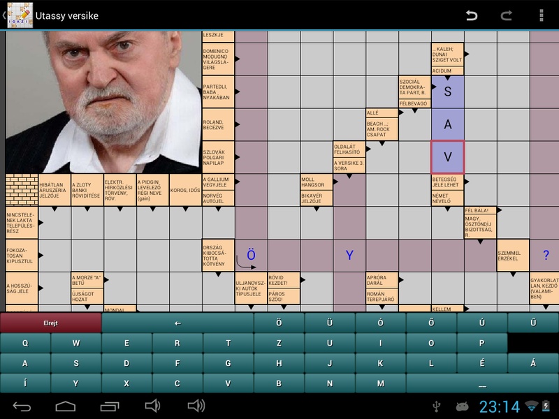 Real crossword - Preview 16