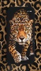 Leopard Wallpaper screenshot 8