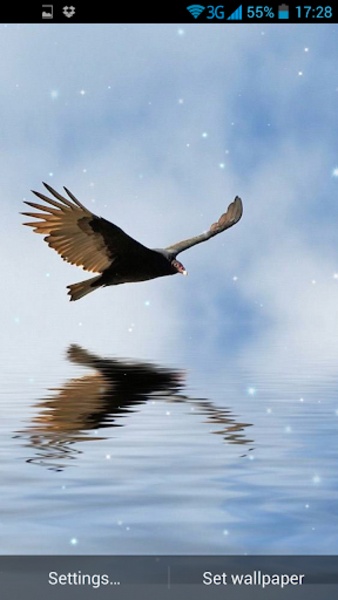 3D Bird Live Wallpaper - Preview 3