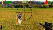 Tiger Hunter screenshot 2