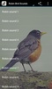 Robin Bird Sounds screenshot 1