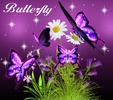 3D Butterfly screenshot 5