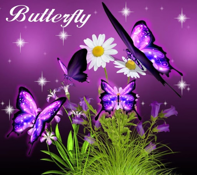 3D Butterfly - Preview 5