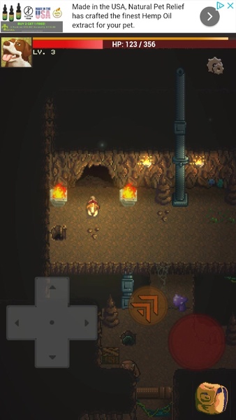 Doggo Dungeon: A Dog