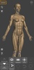 3D Anatomy for the Artist screenshot 16