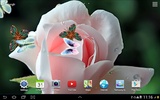 Rosen Live Wallpaper screenshot 2