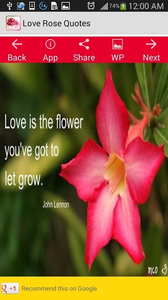 Love Rose Quotes - Preview 9