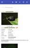 Beetles screenshot 9