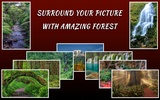 Forest Frames screenshot 1