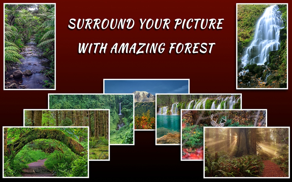 Forest Frames - Preview 1