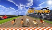 Wild Greyhound Dog Racing screenshot 4