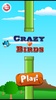 Bird Crazy screenshot 4