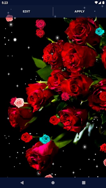 Red Rose 4k Live Wallpaper For Android