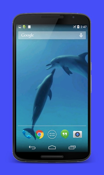 Dolphins Video Live Wallpaper - Preview 2