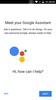 Google Assistant screenshot 18