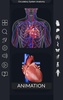 Circulatory System Anatomy screenshot 8