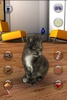 Talking Cat Funny screenshot 3