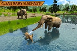 Wild Elephant Family simulator screenshot 22