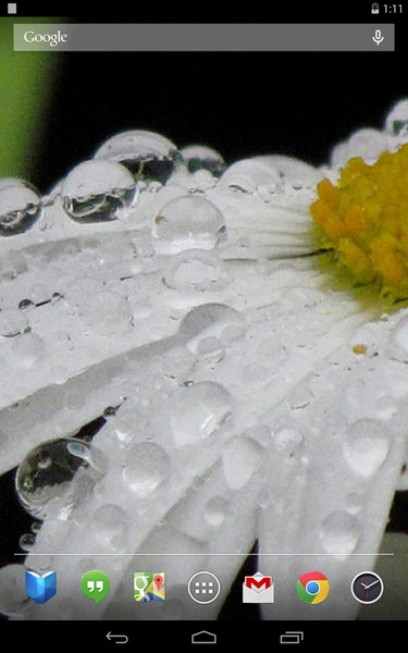 Daisies Live Wallpaper - Preview 1