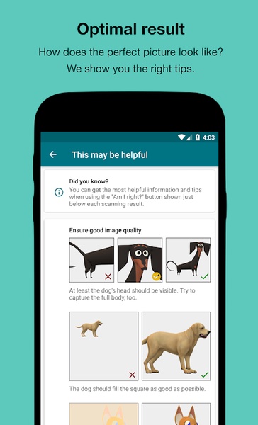 Dog Scanner - Preview 8