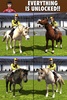 Equestrian Horse Racing Game screenshot 12
