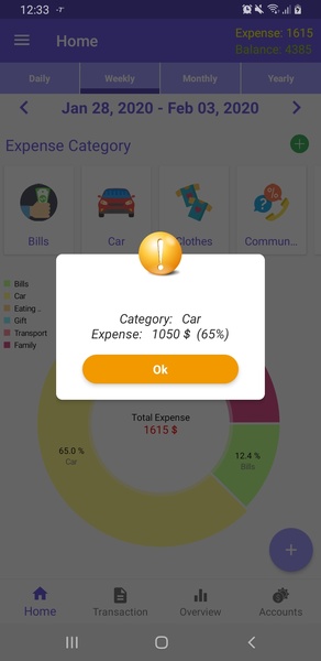 Expense Tracker - Preview 14