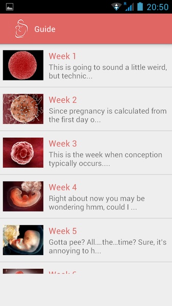 Pregnancy Guide - Preview 3