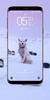 Siberian Husky Wallpaper screenshot 4