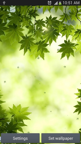 green leaf live wallpaper - Preview 2