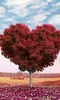 Love Tree Live Wallpaper screenshot 6