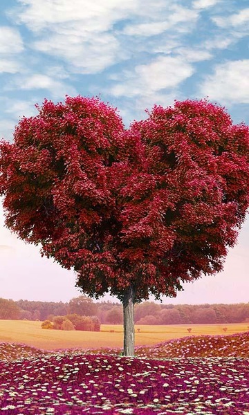 Love Tree Live Wallpaper - Preview 6