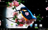 Sakura and Bird Live Wallpaper screenshot 3