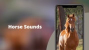Horse Sounds HD screenshot 9