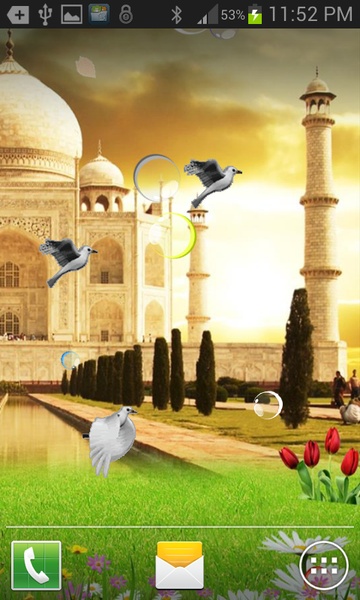 TAJMAHAL BIRDS Live Wallpaper - Preview 2