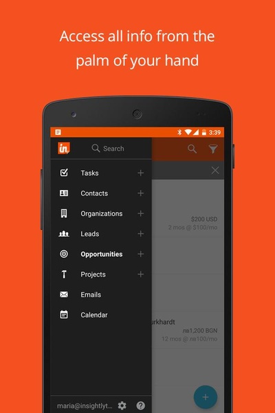 Insightly - Preview 7